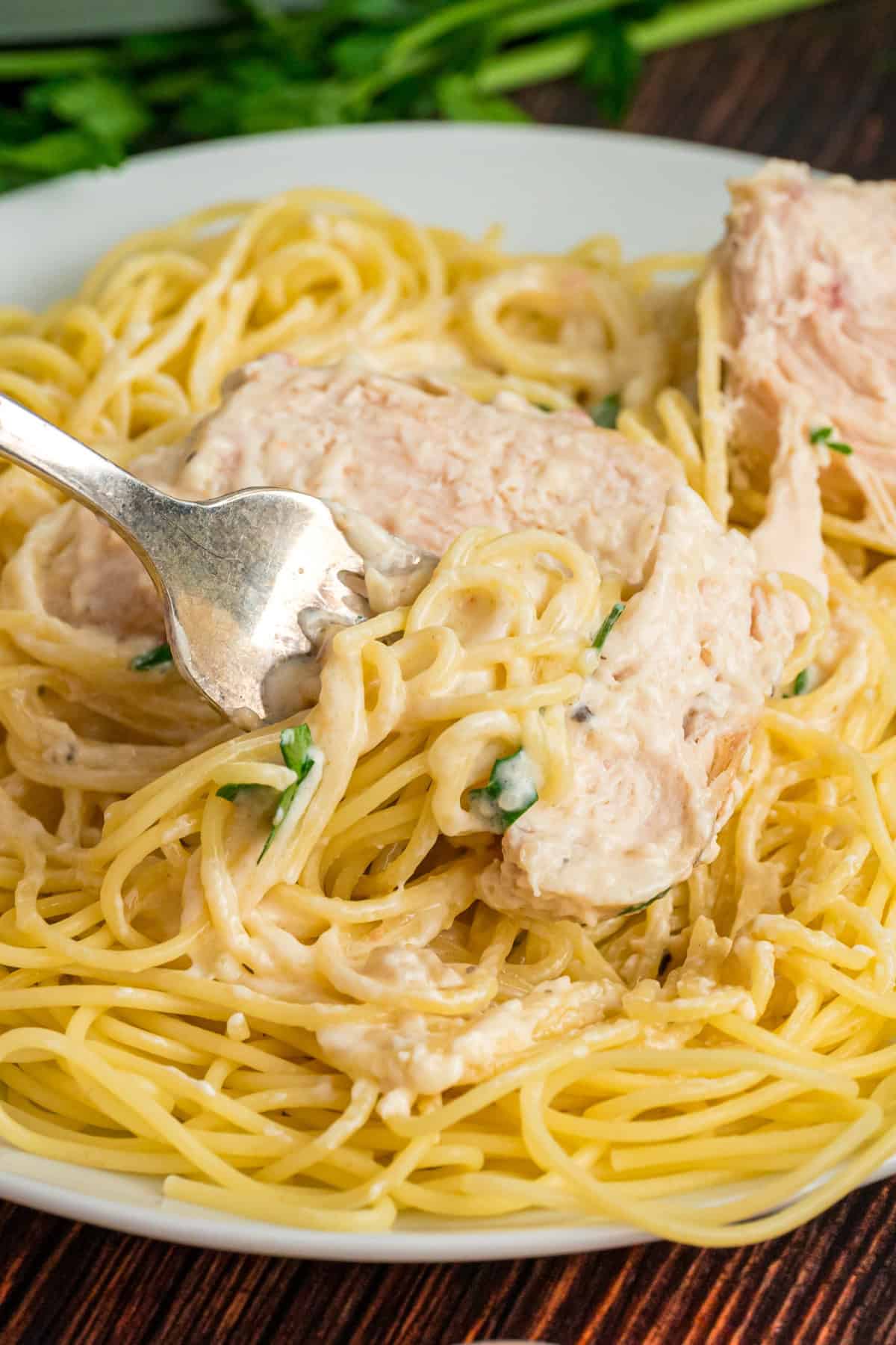 Chicken breasts are slow-cooked in a creamy sauce and served over pasta in this Angel Chicken recipe. A family favorite! Angel Chicken with a fork