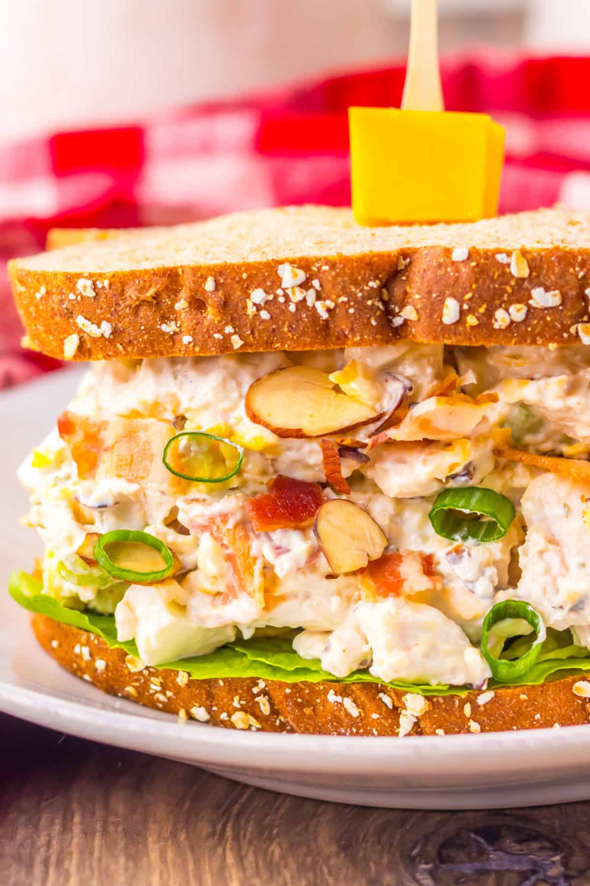 If you love chicken salad, this Million Dollar Chicken Salad with Bacon is a must-try! It’s rich, savory, and creamy with just the right amount of crunch, loaded with crispy bacon, and with balanced flavors that make it taste like a million bucks in every bite. Chicken Salad with Bacon Sandwich
