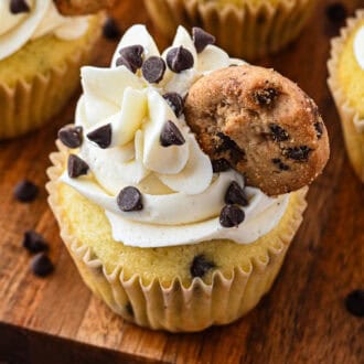 Chocolate Chip Cupcakes feature