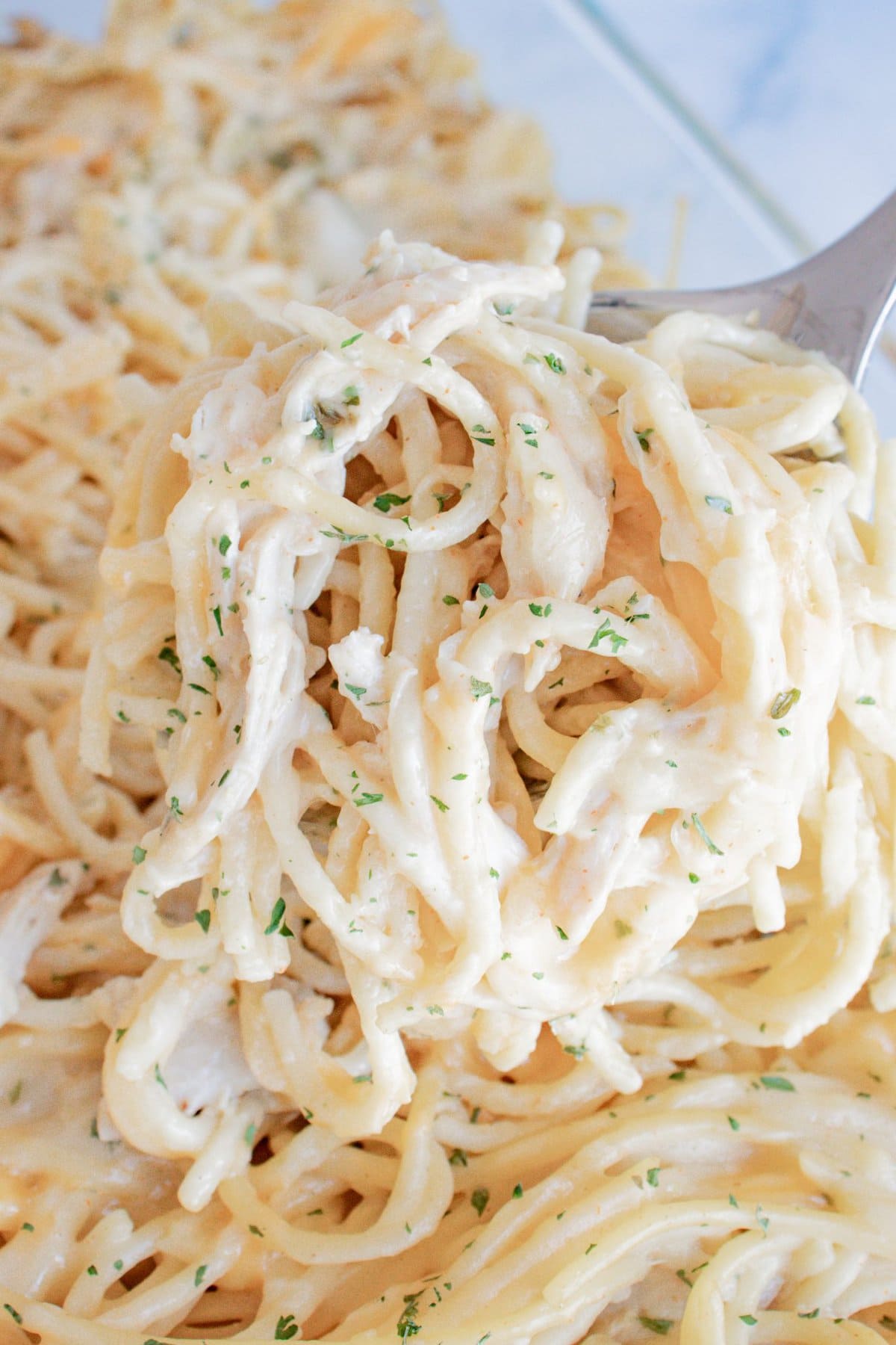 This Chicken Spaghetti Recipe is loaded with your favorite pasta flavors and uses pre-shredded or rotisserie chicken so you can have it on the table in no time. Creamy Chicken Spaghetti