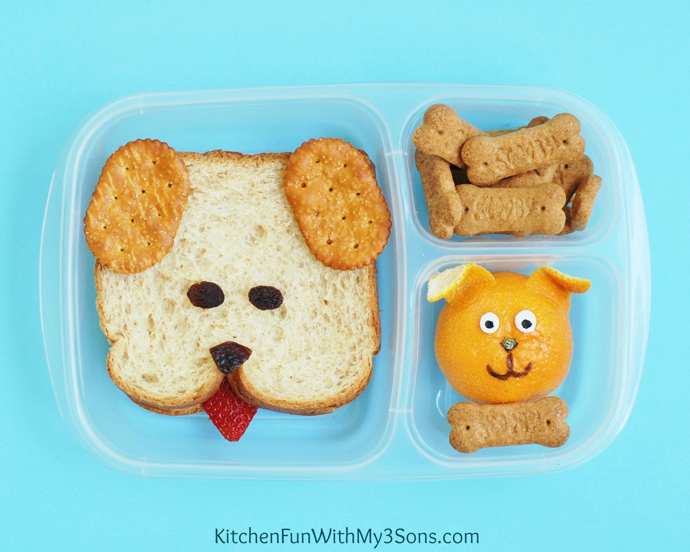 Dog Bento Lunch