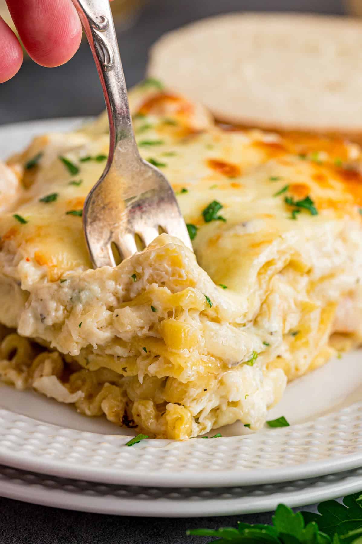 This Seafood Lasagna features layers of a creamy sauce infused with clam juice, noodles, and a shrimp and crab meat filling. A fork in a slice of seafood lasagna on a plate